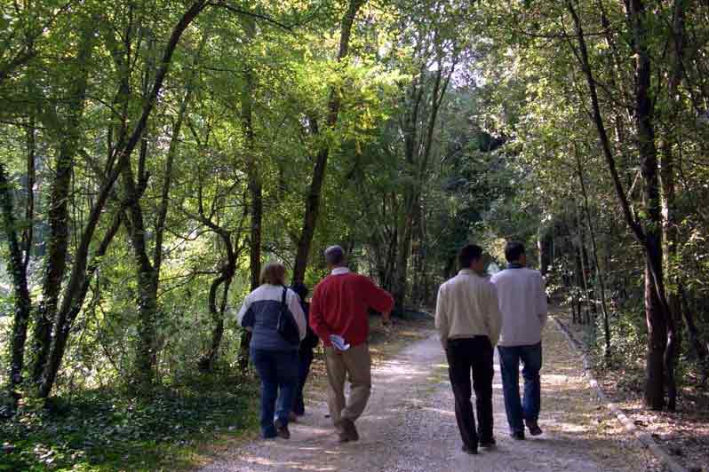 Agriturismo Zennare - Bosco Nordio, le visite