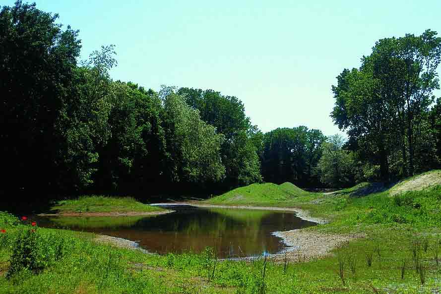 Agriturismo Zennare - Bosco Nordio, tra acqua e cielo