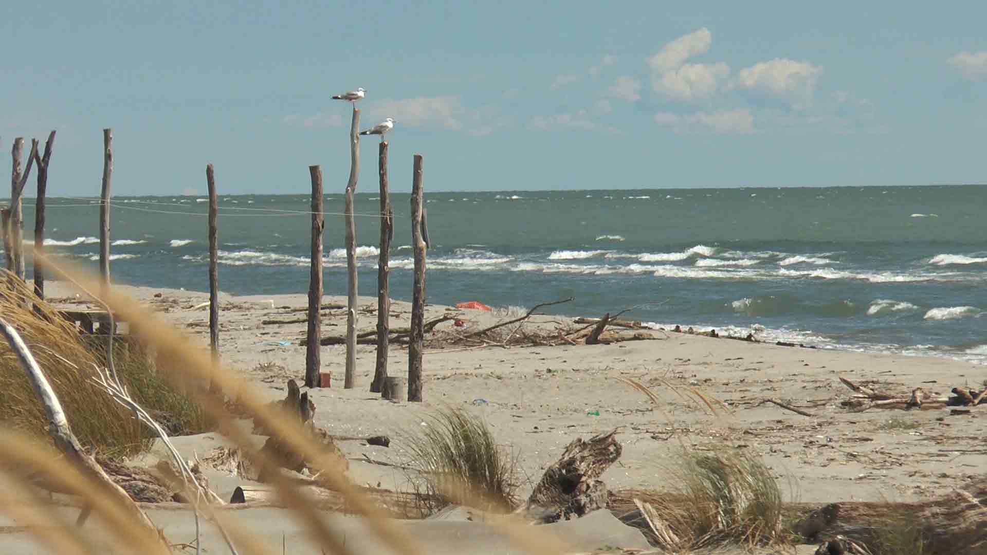 Delta del Po - La spiaggia di Scanno Boa