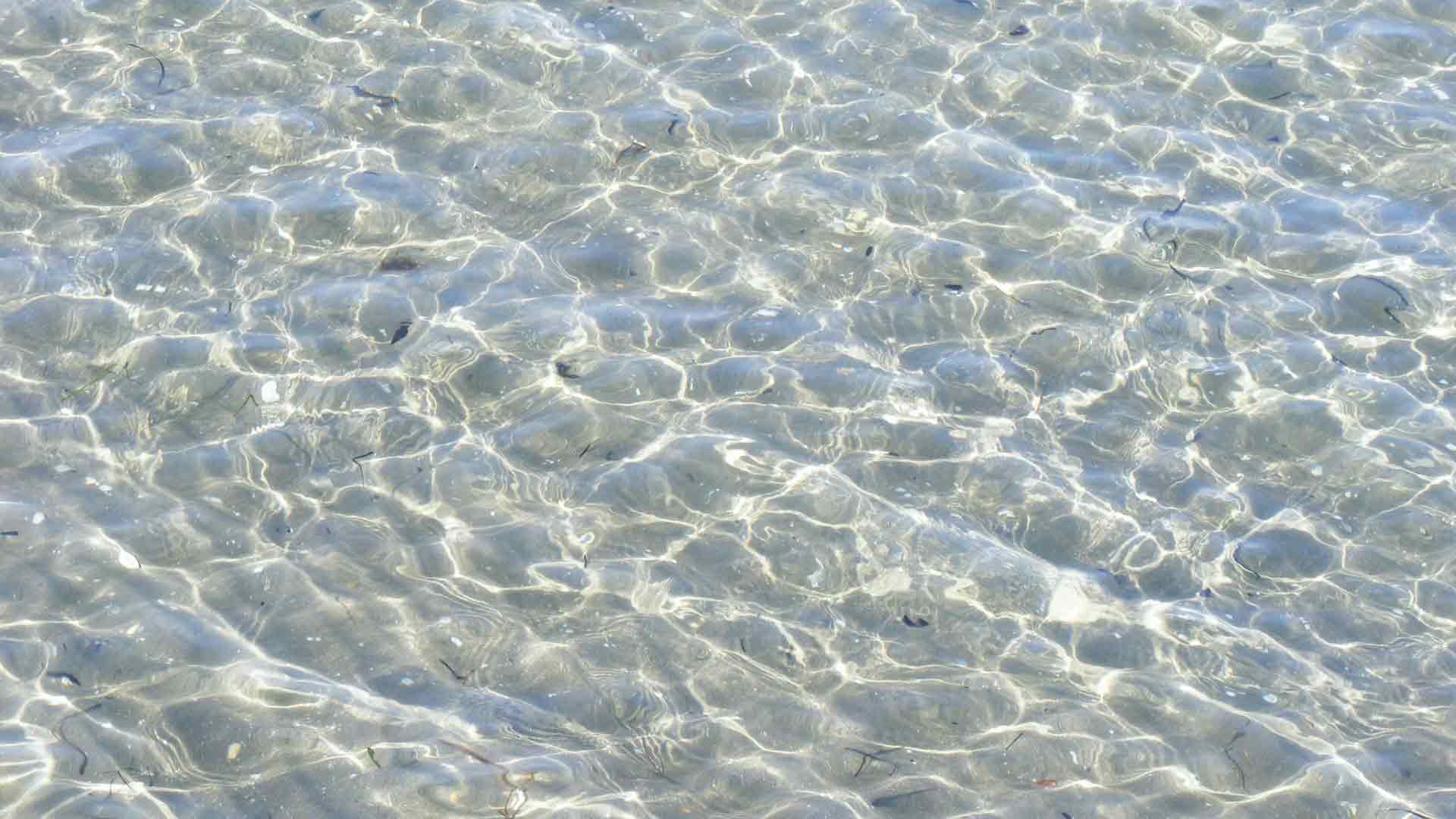 Pellestrina - La spiaggia